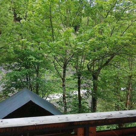 Chalet Au Pont De Flon Le Cornix Εξωτερικό φωτογραφία